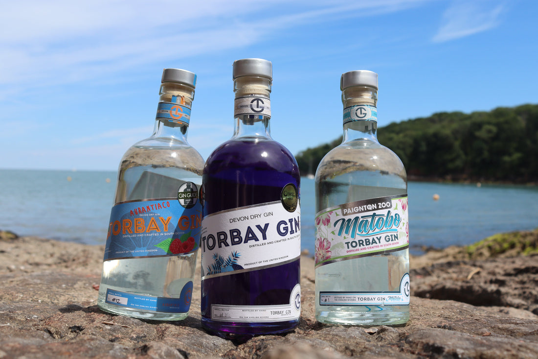 Three bottles of Torbay Gin on a Devon beach