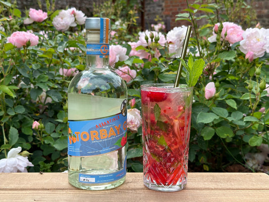 Raspbery Gin Mojito | Cocktail Corner