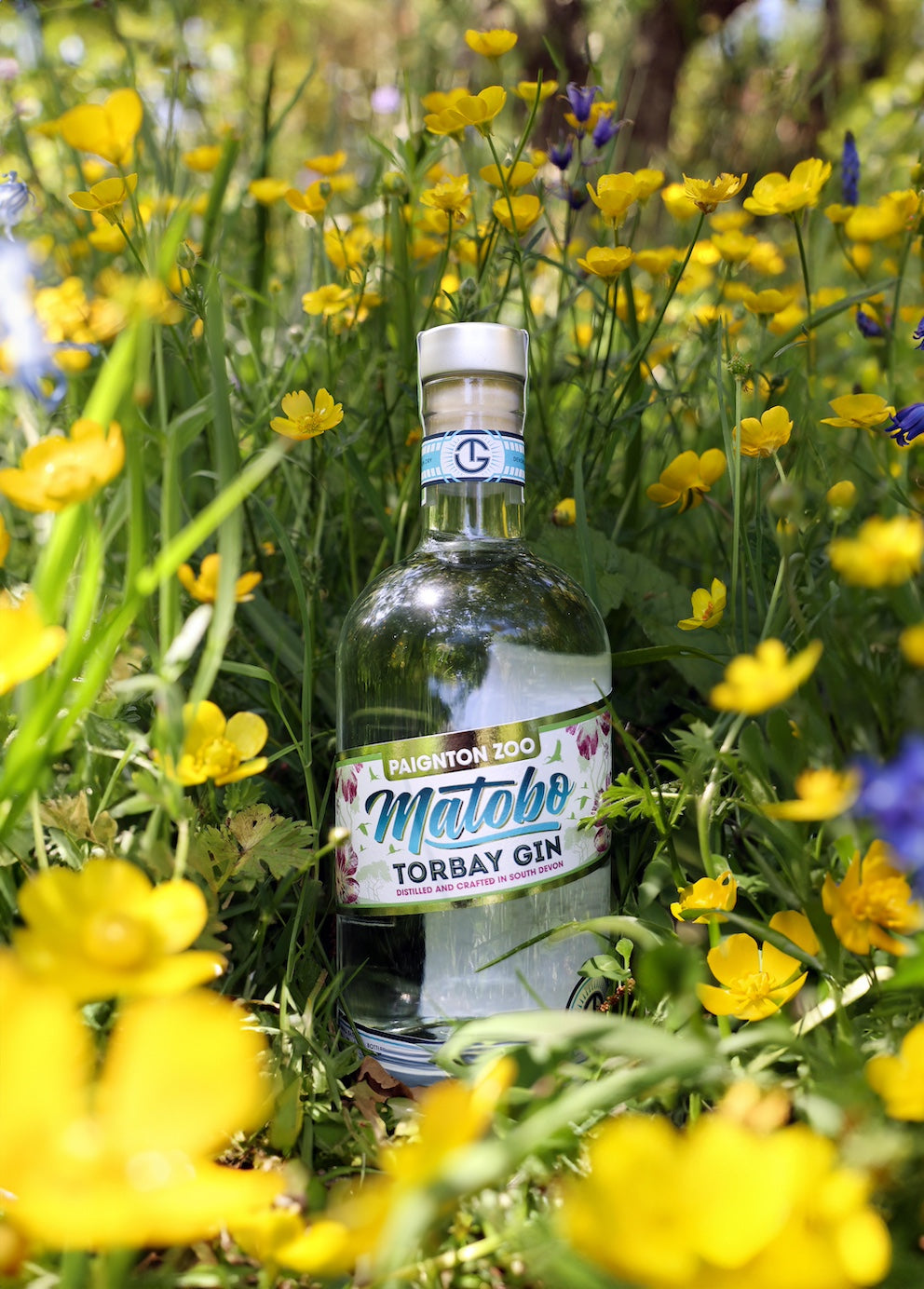 Matobo Gin Promotional Shot at Paignton Zoo