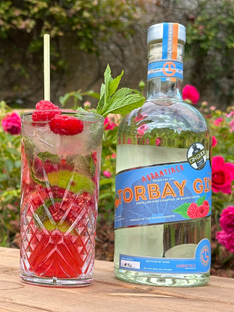 Raspberry Gin Mojito and Aurantiaco gin by Cockington Rose Garden