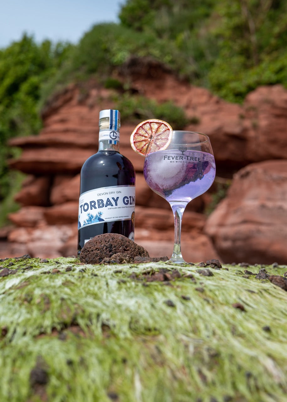 Colour changing gin in Fever Tree glass at the beach