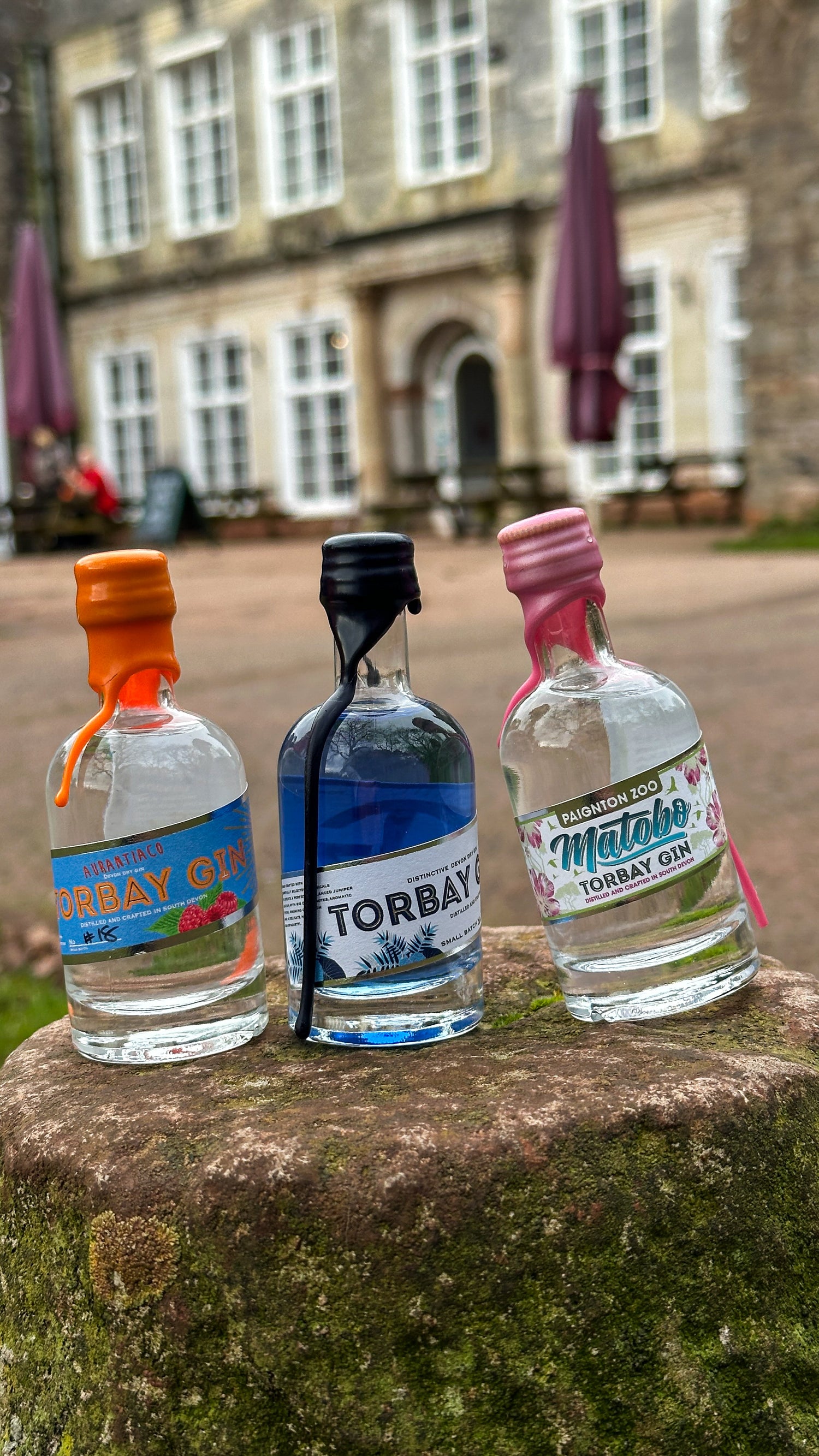 Mini bottles of gin in front of cockington court