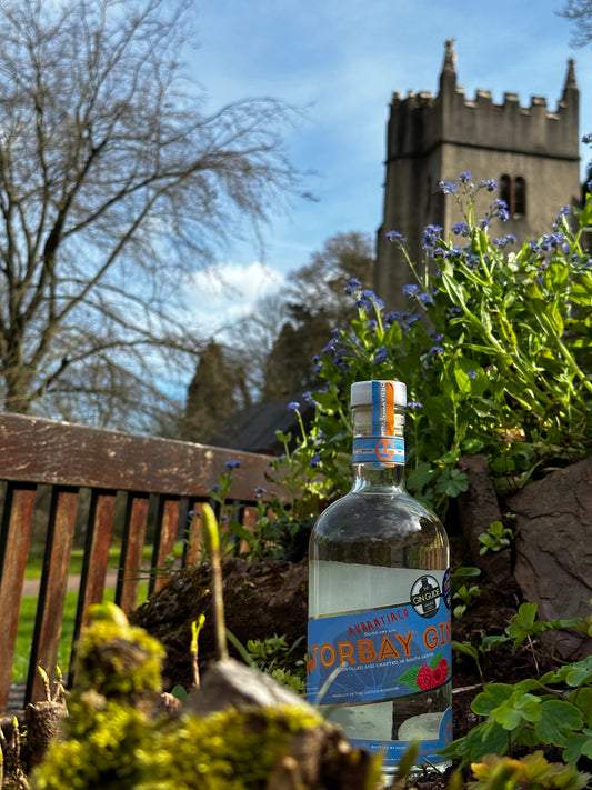 Aurantiaco gin by Cockington church