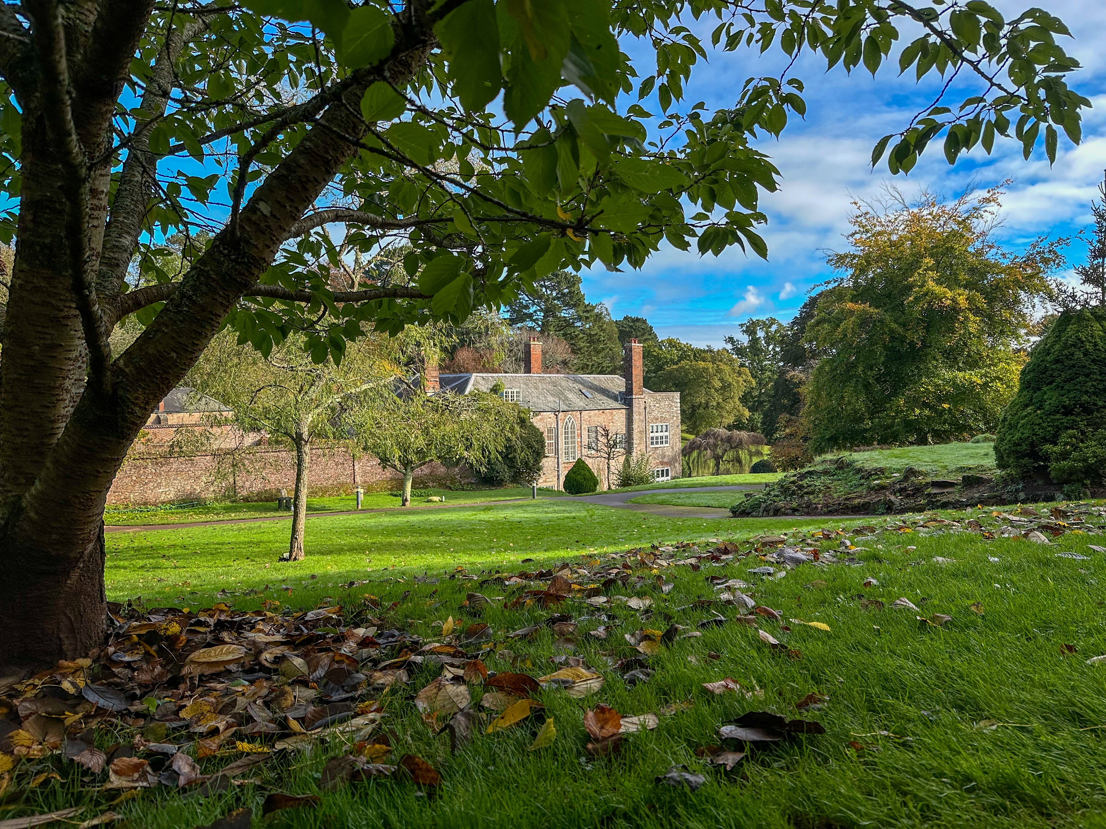 Cockington Court from a distance
