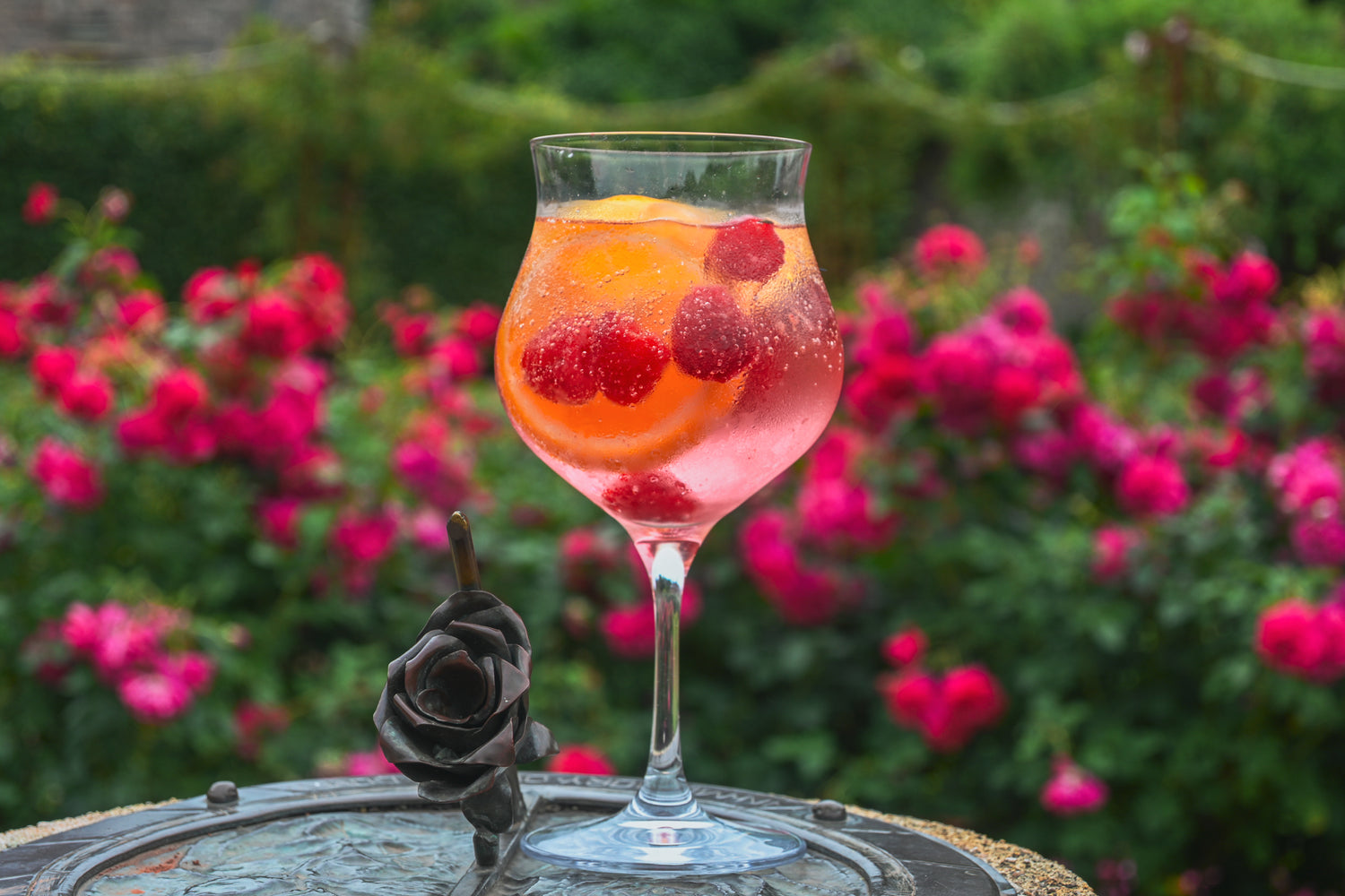 Torbay Gin cocktail with aurantiaco gin in cockington rose garden